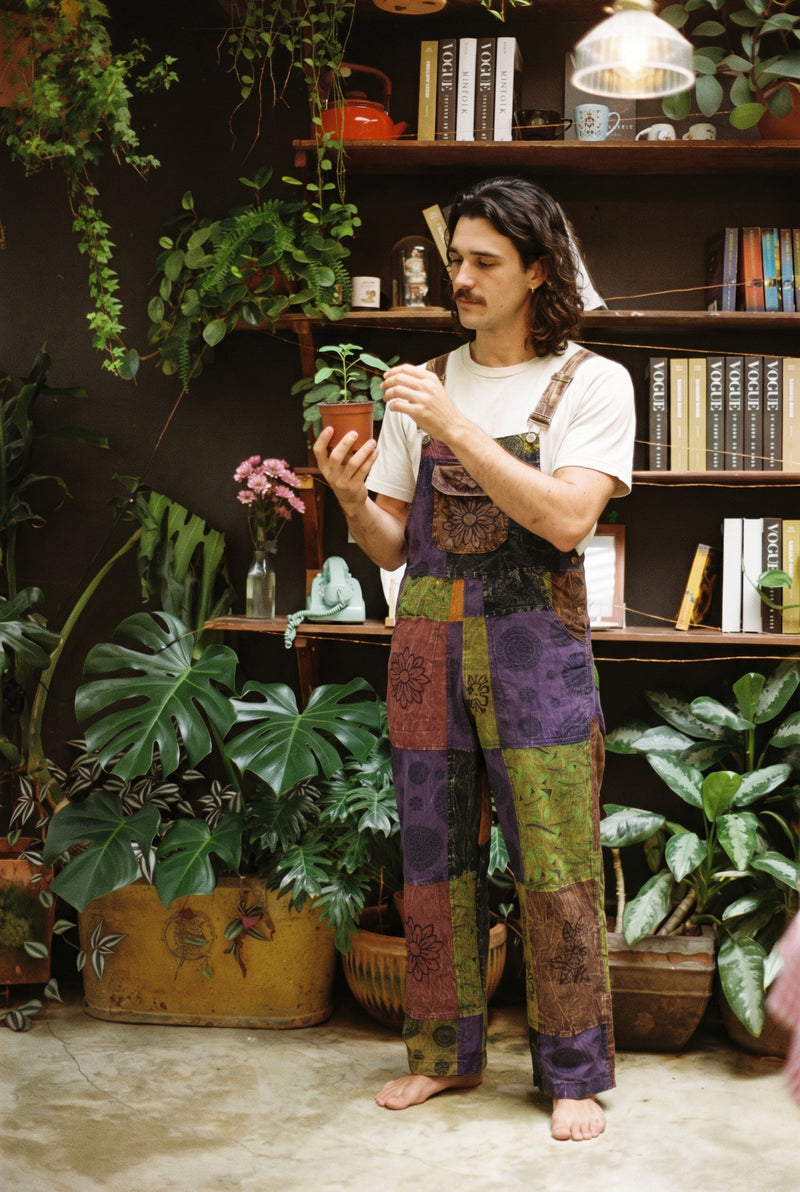 Man holding a potted seedling in the Duskwood Overalls, aubergine, olive and rust patchwork dungarees, in a room full of houseplants