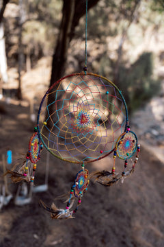 Nature’s Embrace Dream Catcher